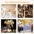 24 3.15"/ 8cm (20 4 Pcs Hanging Glass Tealight Holder Globe, Plant Terrariums Glass Orbs, Air Plants Tea Light Candle
