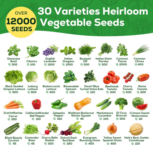 30 12,000+ Heirloom Vegetable Seeds for Planting, Garden Seeds - Non-GMO Vegetable, Herb, Fruit Seeds - Survival Seed