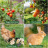13.8 49 ROADPLUM in x ft Chicken Wire Fencing, Rustproof Galvanized Iron Chicken Wire Mesh for Pet Rabbit, Floral