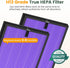 HY4866 True HEPA Replacement Filters for MORENTO, WESTHEY, YIOU M1 Air Purifier, 2-Pack H13 Ture HEPA