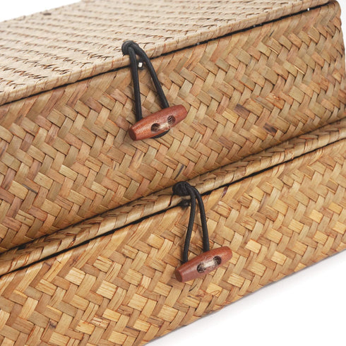 Set 2 DOKOT Flat Seagrass Storage Bins with Lid, Wicker Basket for Shelf Organize, of (Small+Large)
