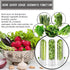 HVECT 2-3 (3PCS) Herb Saver for Refrigerator, Herb Saver Pod Cilantro Containers for Refrigerator, Fresh Herb Keeper