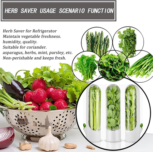 HVECT 2-3 (2PCS) Herb Saver for Refrigerator, Herb Saver Pod Cilantro Containers for Refrigerator, Fresh Herb Keeper