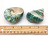 PEPPERLONELY 2 2-1/2 Inch 3 Inch PC Natural Large Hermit Crab Shells, Banded Green Blue Gade Turbo, ~