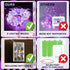8 16FT 50Led Light Purple Fairy Lights Battery Operated (Included), Modes & Auto Timer, Mini Twinkle Lights, Waterproof