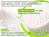 PetriStor Cheese Mold for Cheese Making, 1.3QT with Follower Piston and Cheesecloth