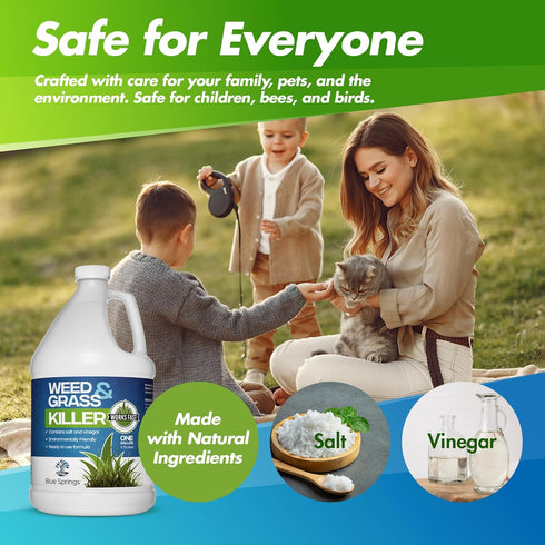 Blue Springs Vinegar Weed & Grass Killer | Fast Acting & Ready to Use Formula is All Natural | Child & Pet Safe | No