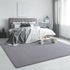 Keeko Soft Area Rugs for Bedroom Living Room, 2x3 Grey Modern Indoor Low Pile Fluffy Small Rug for Kitchen Decor