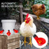 sansheng 12Pack Chicken Waterer Cups,Poultry Water Cups,Automatic Poultry Waterer for DIY Poultry Quail Duck Chicken