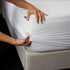 Sealy King Size Fitted Mattress Protector, Soft Polyester Waterproof Spot and Stain Protection Mattress Cover