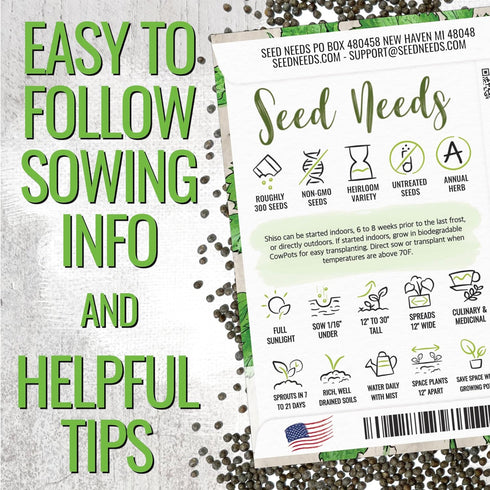 (1 Pack) Seed Needs Shiso Seeds for Planting Green Perilla Herbs - Non-GMO Heirloom & Untreated Annual Herb Seed