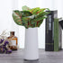 VanEnjoy 7" High Minimalist White Ceramic Vases - Home Office Decoration, Frosting Finish