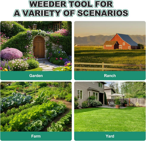 15.2'' Berry&Bird Triangle Hand Hoe, Winged Weeder Garden Hoes with Short Wood Handle, Gardener Stainless Steel Warren
