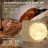 AIRIVO Alarm Clock for Bedrooms, Sunrise Alarm Clock Wake Up Light for Kids Teens, White Noise Sound Machine, Moon