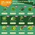 23 Pack 25,000+ Lettuce & Salad Greens Seeds Variety - Non-GMO Heirloom Greens Seeds for Planting Lettuce Indoor