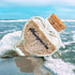 Honeymoon Sand Keepsake Jar - Unique Romantic Gifts for Newlyweds, Wedding, Engagement, Vacation Travel (HEART SHAPED