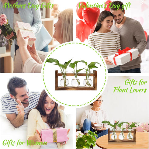 3 Bulb Plant Propagation Station Plant Terrarium Unique Birthday Gifts for Women Home Office Decor Planter with Wooden