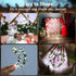 4 Pack 16.4FT 50 Christmas Fairy Lights Battery Operated, LED Auto Timer Dark Green Wire Twinkle Lights