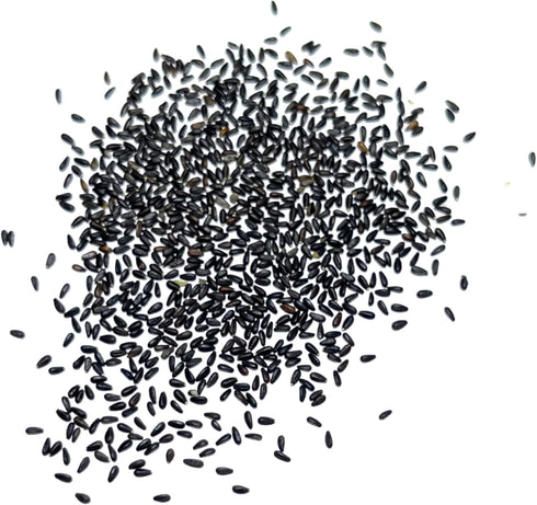 (1 Pack) Seed Needs Lemon Balm Seeds for Planting - Non-GMO, Heirloom & Untreated Perennial Medicinal Herb - Plant