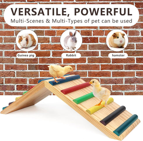 2 1 Rainbow Chicken Perch and Ramp Trainer, in Sturdy Wooden Chicken Roosting Bar, Baby Chick Toys for Brooder, Chicken