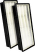 LifeSupplyUSA True HEPA Filter Replacement 2-Pack Compatible with Holmes AER1 HAPF300/HAPF30 (D Filter) and Bionaire