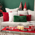 MIULEE Luxury Faux Fur Throw Pillow Cover - Pack of 2, Deluxe Winter Decorative Cushion Cover 18x18 Inch Red