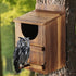 1 Set Owl House, Barn Owl Nesting Box with Bird Stand and Wood Shavings, Large Wooden Screech Nesting Box for Outside