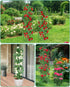 2 Pack 6Ft MYMULIKE Garden Trellis for Climbing Plants Outdoor & Indoor - Tall Rustproof Plant Support Cage for Vines