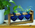 3-Heart Kingbuy Plant Terrarium Kit with Vintage Wood Stand - Stained Glass Vase Propagation Station, Wall-Mounted