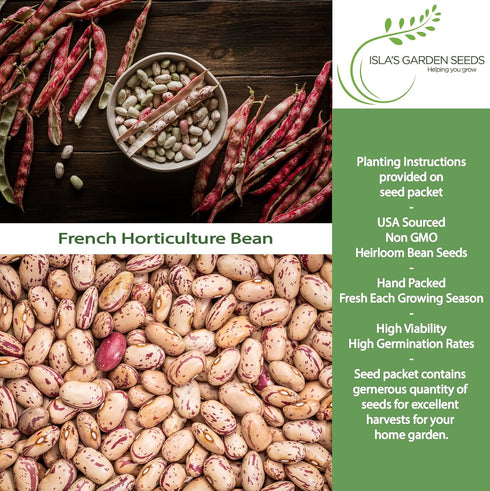 50+ French Horticulture Bean Seeds (Phaseolus vulgaris) Non-GMO Heirloom Seeds by Islas Garden Seeds, Also Known as