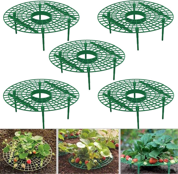 Medoore 5 Pack Strawberry Supports, Adjustable Strawberry Growing Racks Plant Climbing Rack Vine