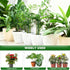 sanzkjic 5pack Adjustable Plant Support Pole Stackable Indoor/Outdoor Support Pole with Clamps, Suitable for Supporting