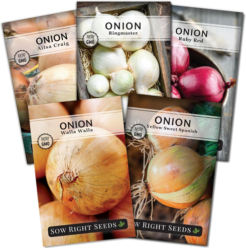 Sow Right Seeds - Long Day Onion Seed Collection for Planting -