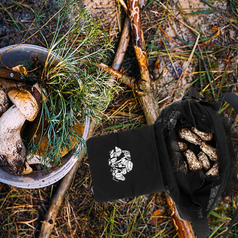 Qchengsan Foldable Mesh Harvest Basket for Fruits and Mushrooms