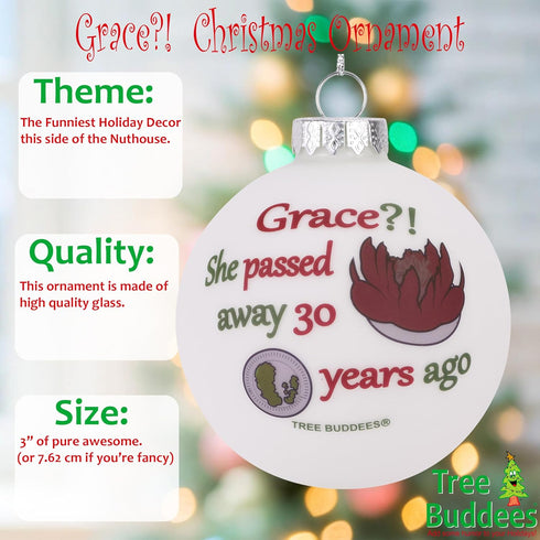 Tree Buddees Grace?! She Passed Away 30 Years Ago, Glass Christmas Ornament
