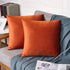 FEVERQIYI Burnt Orange Velvet Pillow Covers Set of 2, Decorative Square Throw Pillowcase 18x18 inch