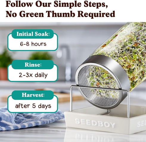 8 oz 8 32 Seedboy Organic Non-GMO Sprouting Seeds, Superfood Blend - USA Grown Microgreens Mix with Broccoli, Radish