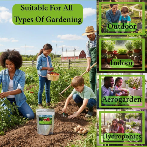 40 25,000 40 Package. (1, Vegetable & Fruit Seeds for Planting Your Outdoor & Indoor Home Garden. Seeds, Plant Markers