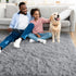 YJ.GWL Area Rugs for Bedroom - 2x3 Washable Small Grey Bedside Rug, Fluffy Shaggy Indoor Carpet