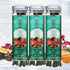 Scentsicles O Christmas Tree Scented Ornaments with Hooks, 3 Bottles (18 Sticks Total)