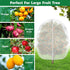 4 5 (2 Evoio Bird Netting for Garden Plant Fruit Tree Protection Large Blueberry Bushes Netting Covers Bags