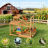 Multi-Functional Chicken Perch with Swing and Xylophone Toy