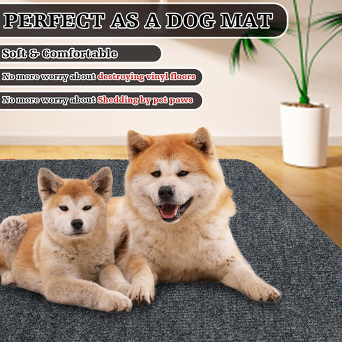 Doormats Outdoor, 17" x 30" Front Door Mat, Heavy Duty Absorbent Doormat for Kitchen, Entry, Patio