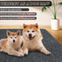 Doormats Outdoor, 17" x 30" Front Door Mat, Heavy Duty Absorbent Doormat for Kitchen, Entry, Patio