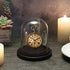JUXYES Clear Watch Glass Display Dome Cloche With Hook, Dome Cloche with Hook with Wooden Base, Transparent Dome Cloche