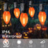 C7 25FT 25 Bulbs, Orange Halloween Lights Outdoor, LED String Lights with Waterproof Fall Thanksgiving Decor for Patio
