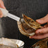 Oyster Shucking Knife, 2.75" New Haven Style Clam Knife with Non-Slip Poly Handle, Seafood Opener Tools (Black)