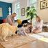 5x7 OLANLY Machine Washable Large Area Rugs for Living Room, Bedroom, Soft Fluffy Shaggy Bedside Rug, Indoor Floor