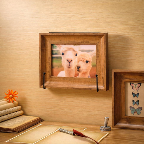 2 Pcs Large Wall Mounted Plate Stands for Display, 7.87 x 7.87 Inches Decorative Metal Holder Stand