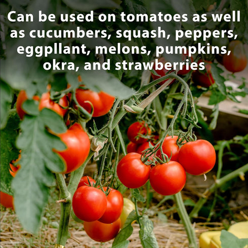 Set 16 oz Monterey Tomato Blossom Spray RTU Bundled with Measuring Spoon Ready-to-Spray Formula for Increased Tomato